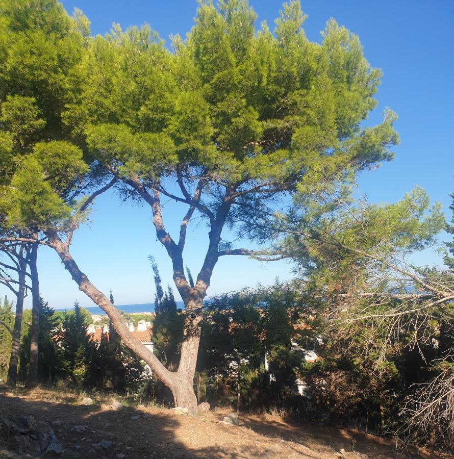 T2 Vue Mer Avec Parking Prive Saint-Pierre-la-Mer  Dış mekan fotoğraf